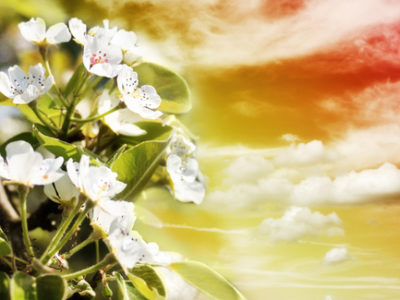 naturopathic physician, naturopathy doctor, Inspired Health Center, Bend Oregon