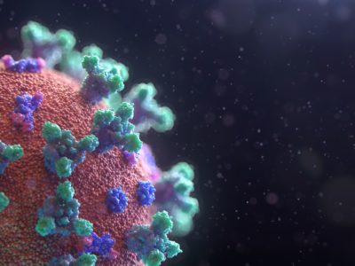 Functional Medicine via Telemedicine: the COVID19 Solution to Optimizing your Immune system and overall health