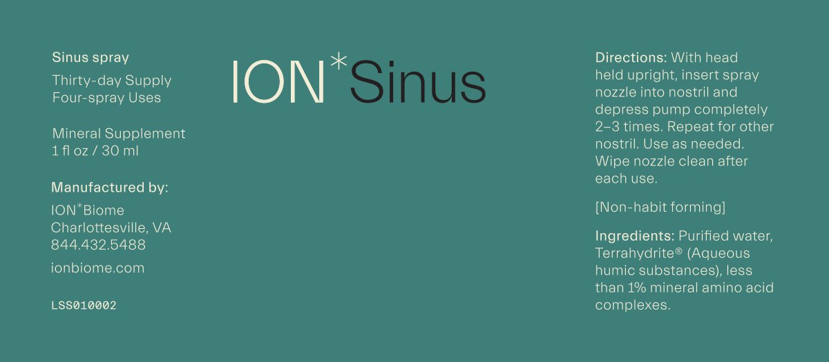 ION* Sinus (formerly Restore Sinus Spray)