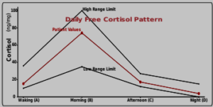 Daily Cortisol Pattern Graph